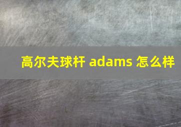 高尔夫球杆 adams 怎么样